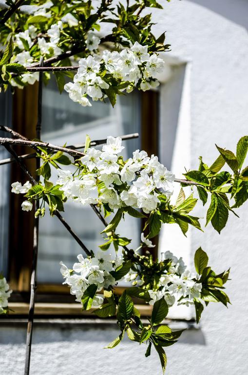 Birkenhaus Am Quell Hotel